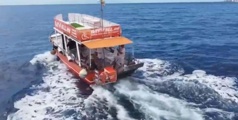 3H Shared Barrier-Free Cruise with Turtles Dolphins & Whales - Guaza fish farm and the working side of the sea