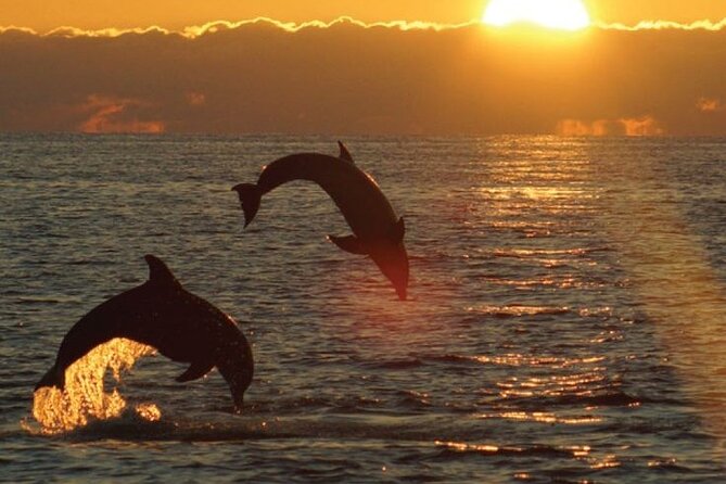 3hours all inclusive Sunset&Dolphin Tour from Medulin on Sandra - Key points to know before you book