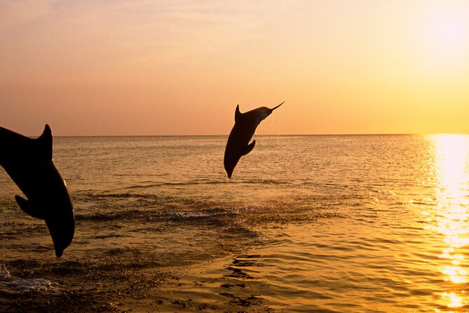 3hours all inclusive Sunset&Dolphin Tour from Medulin on Sandra - Leaving Medulin Harbor with a welcome drink