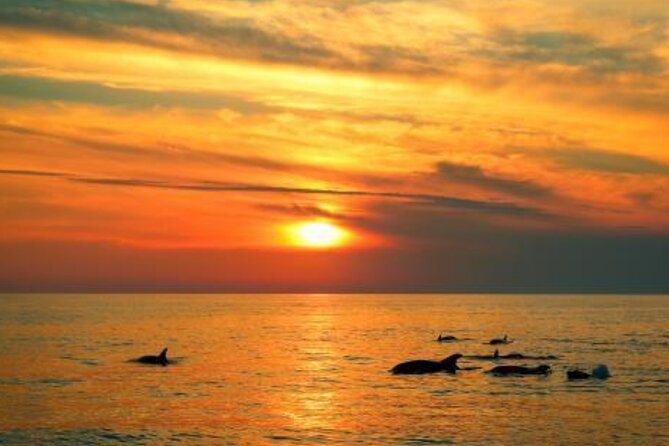 3hours all inclusive Sunset&Dolphin Tour from Medulin on Sandra - How the crew shapes the evening