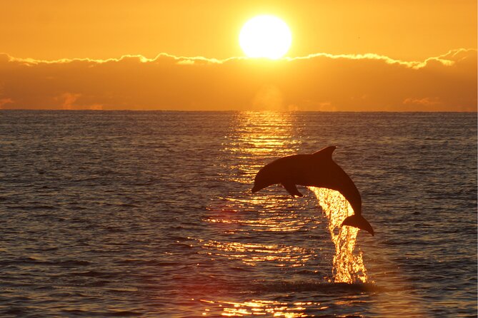 3hours all inclusive Sunset&Dolphin Tour from Medulin on Sandra - Group size, comfort, and the best place to sit