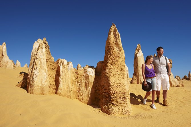 4-Day Monkey Mia Dolphins Pink Lake Pinnacles Comfort-Level Tour - The price and what it covers