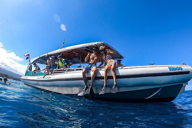 4 Hour Big Island Dolphin Watch Boat Tour, Snorkeling & BBQ Lunch - Garden Eel Cove and Manta Heaven