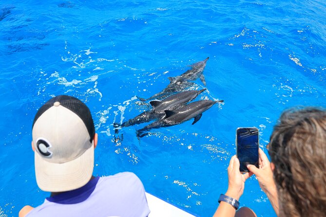 4 Hour Big Island Dolphin Watch Boat Tour, Snorkeling & BBQ Lunch - What the $150 price really buys