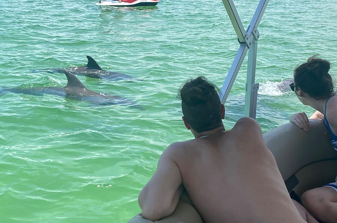 4 Hour Dolphin and Sandbar Cruise - Who should book this Fort Myers cruise?