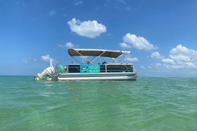 4 Hour Dolphin and Sandbar Cruise - Leaving Fort Myers Beach at 10 a.m.