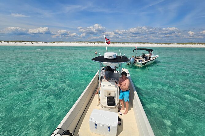 4 Hour Eco Dolphin Tour in Panama - Key things to know before you book