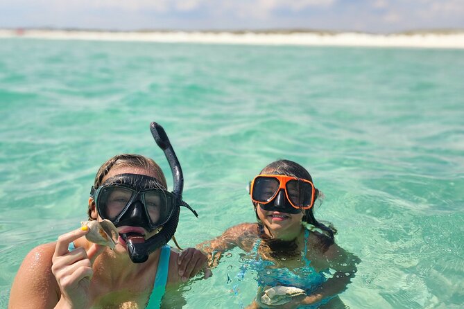 4 Hour Eco Dolphin Tour in Panama - Shell Island, with room to choose your pace