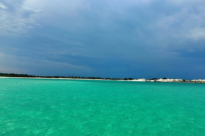 4 Hour Eco Dolphin Tour in Panama - Weather can change the plan