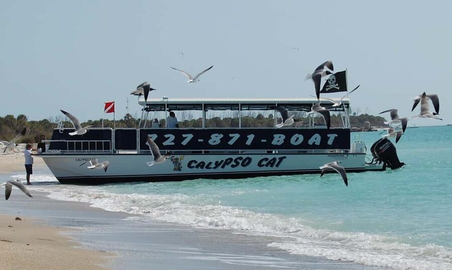4 Hour Egmont Key Island Tour With Dolphins & Snorkeling - Key points at a glance