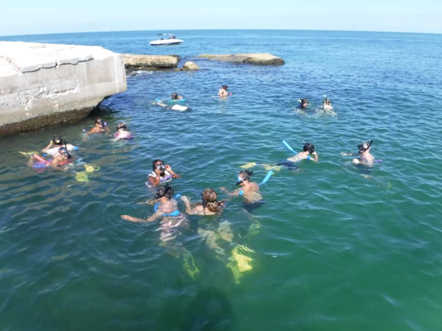 4 Hour Egmont Key Island Tour With Dolphins & Snorkeling - What to pack for the island stop
