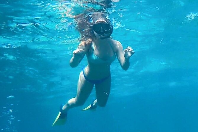 4 Hour Egmont Key Island Tour With Dolphins & Snorkeling Included - A four-hour boat trip with a little of everything