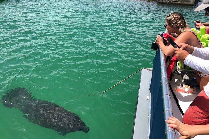 4 Hour Egmont Key Island Tour With Dolphins & Snorkeling Included - Weather and route changes matter