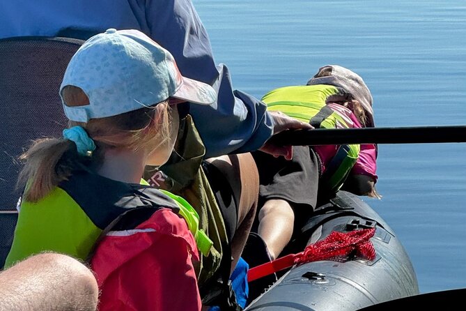 4-Hour Mangrove Island and Dolphin Watch Sandbar in Fort Pierce - Meeting at Hutchinson Island