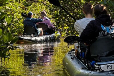 4-Hour Mangrove Island and Dolphin Watch Sandbar in Fort Pierce