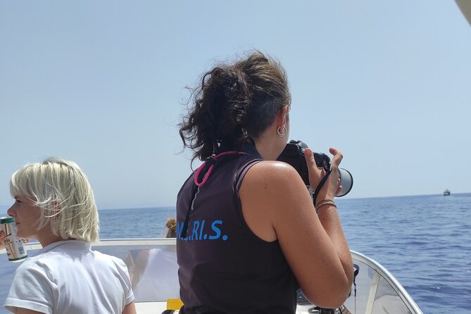 4 Hours Dolphin Watching Tour in Porto Empedocle - The Small Boat Makes the Experience Personal