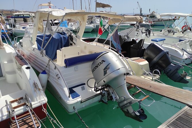 4 Hours Dolphin Watching Tour in Porto Empedocle - What Happens During the Four-Hour Search