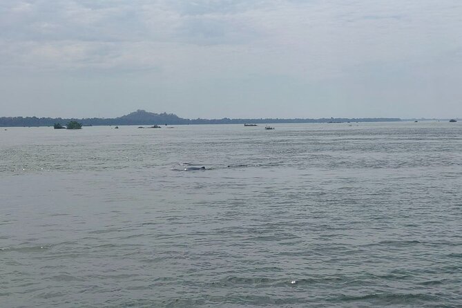 4 hours taking tuk tuk to see Mekong dolphins and countryside - A rare Mekong sighting from Kratie