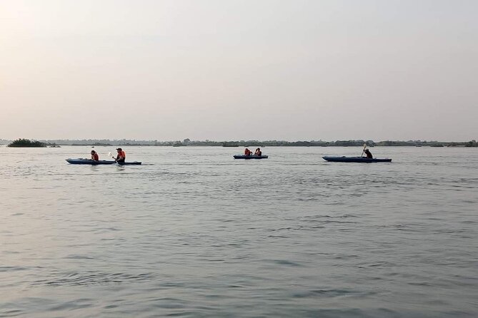 4 hours taking tuk tuk to see Mekong dolphins and countryside - Kampi village and the $10 boat ride