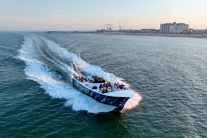 45-Minute Sea Rocket Speed Boat & Dolphin Cruise in Ocean City MD - Searching for Atlantic bottlenose dolphins