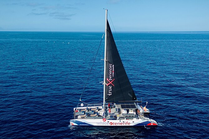 5 hr watching and listening whales and dolps. Visit Los Gigantes - A swim in the quiet bay of Masca