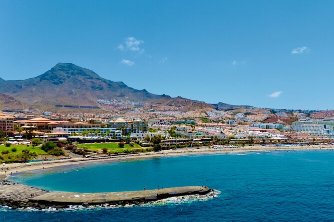 5 hr watching and listening whales and dolps. Visit Los Gigantes - What the crew adds to the day