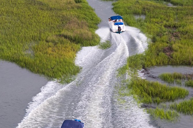 90-Minute Dolphin and Nature Tour of Hilton Head - The Captains Make or Break the Experience