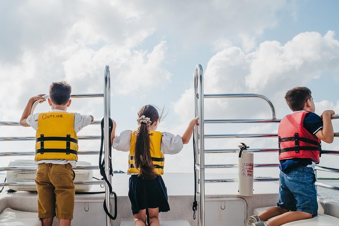 90-Minute Dolphin and Nature Tour of Hilton Head - Broad Creek Instead of the Open Ocean