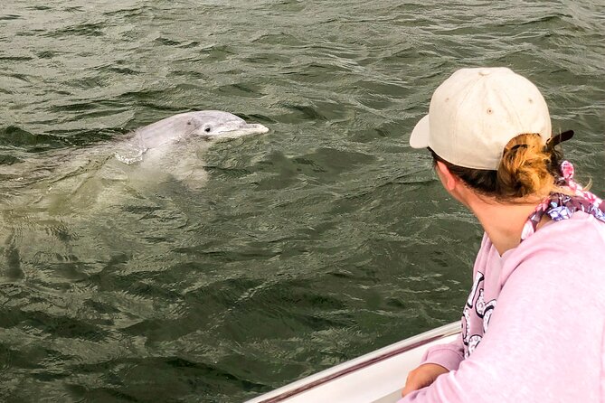 90 Minute Hilton Head Dolphin and Nature Cruise - What the $47 price gets you