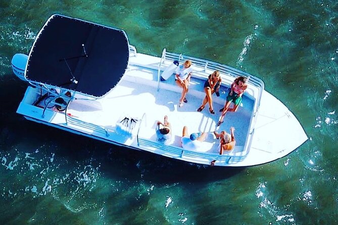 90 Minute Hilton Head Dolphin Tour - Quick points before you book