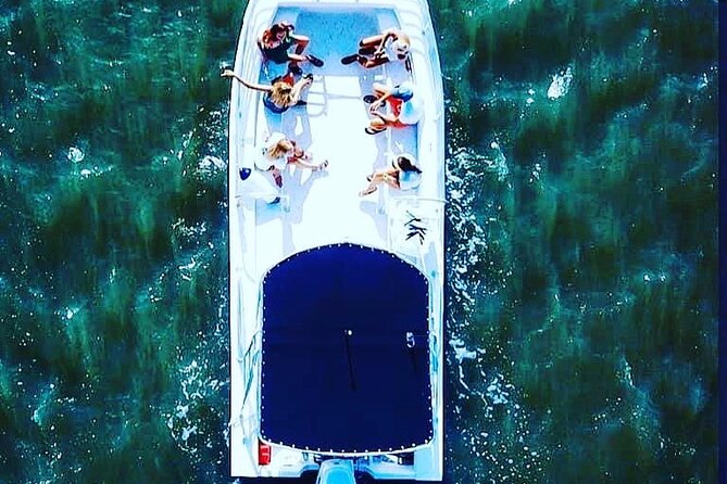 90 Minute Hilton Head Dolphin Tour - Is $47.70 good value?
