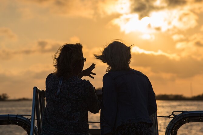 90 minute Hilton Head Sunset Dolphin Cruise - What you may see beyond dolphins