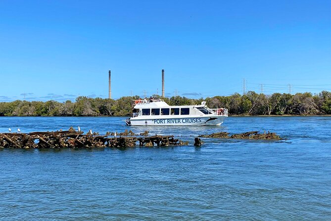90 Minute Port River Dolphin & Ships Graveyard Cruise - Comfort, views, and what to bring