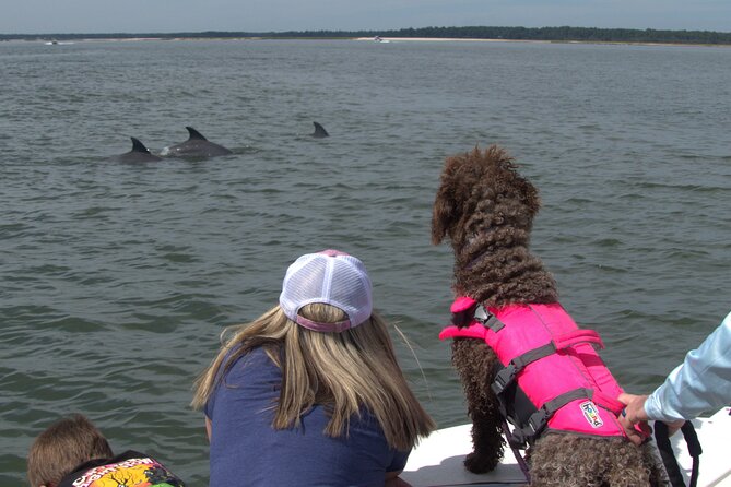90-Minute Private Dolphin Tour in Hilton Head Island - What happens during the 90-minute cruise