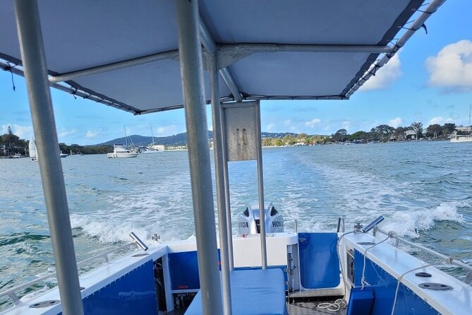 AAA Noosa National Park Tour and Dolphin Safari Whalesongsnoosa - Who will enjoy this boat trip most