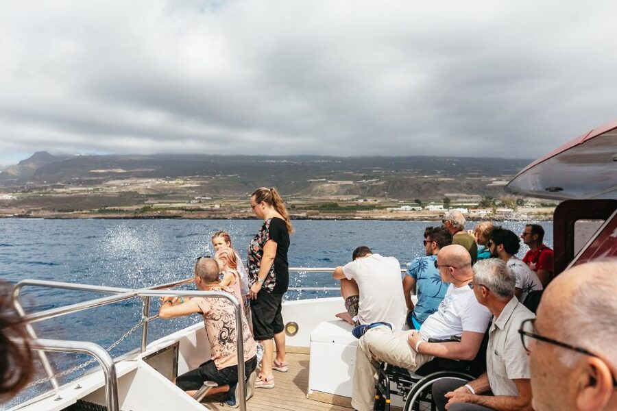 Adeje: Whale and Dolphin Watching Cruise with Lunch and Swim - Watching pilot whales and dolphins from three levels