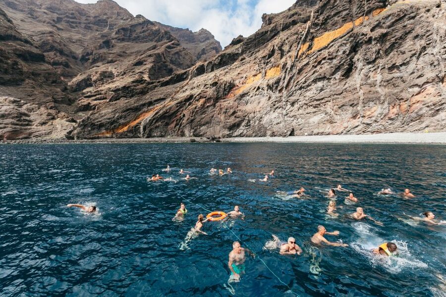 Adeje: Whale and Dolphin Watching Cruise with Lunch and Swim - A 40-minute swim stop in a clear Atlantic bay