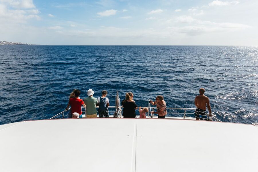 Adeje: Whale and Dolphin Watching Cruise with Lunch and Swim - How the crew shapes the day