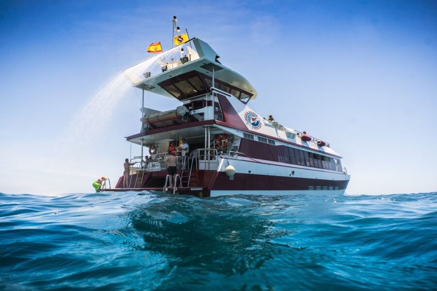Adeje: Whale and Dolphin Watching Cruise with Lunch and Swim - Choosing between Diego Hernandez Bay and Los Gigantes