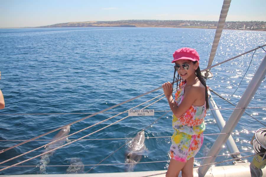 Adelaide: 4-Hour Guaranteed Wild Dolphin Watching Cruise - Practical advice for a better morning