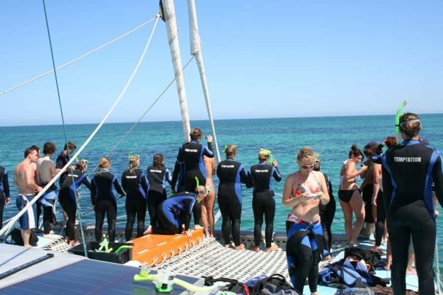 Adelaide: 4-Hour Swimming with Dolphins Experience - Practical verdict: should you book?