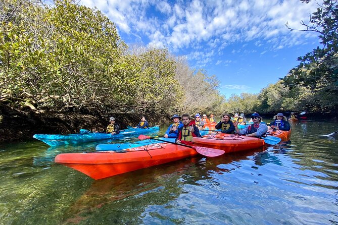 Adelaide Dolphin Sanctuary and Ships Graveyard Kayak Tour - Key points before you book