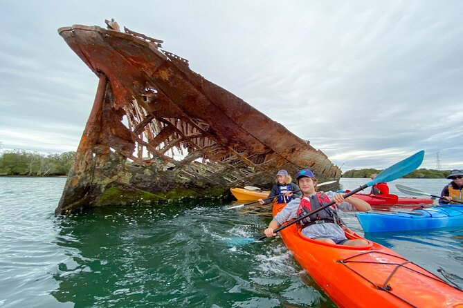 Adelaide Dolphin Sanctuary and Ships Graveyard Kayak Tour - The Garden Island Ships Graveyard