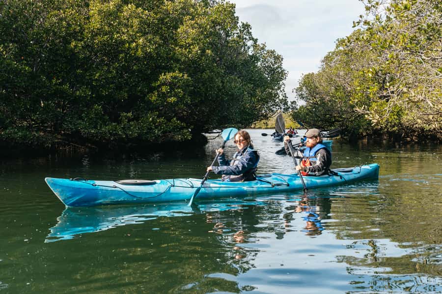 Adelaide: Dolphin Sanctuary Eco Kayaking Tour - Who should book this kayak tour?