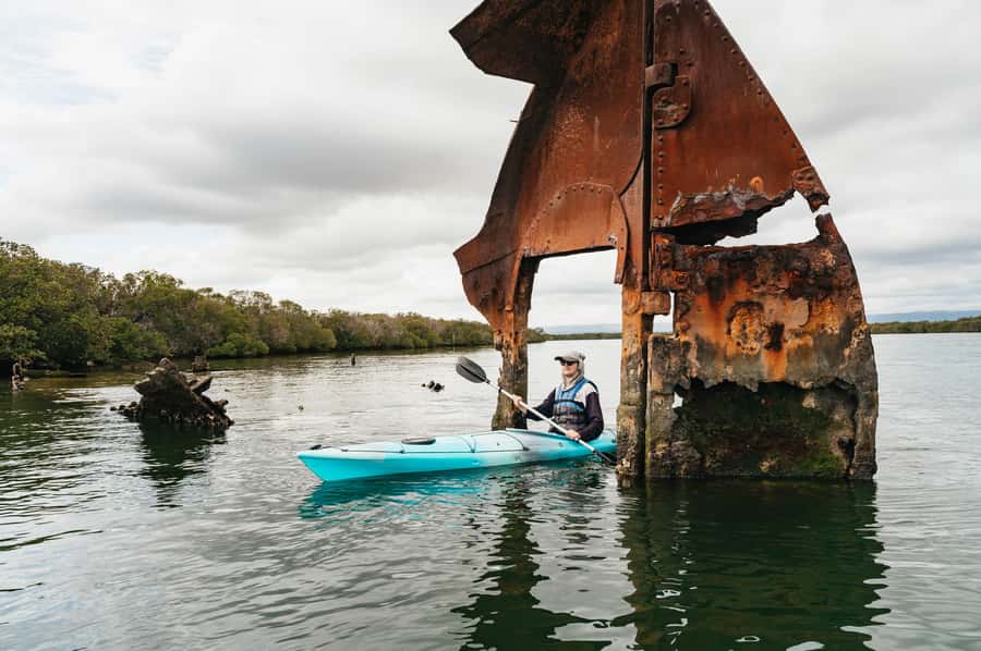 Adelaide: Dolphin Sanctuary Eco Kayaking Tour - Meeting at Angas Inlet Boat Club