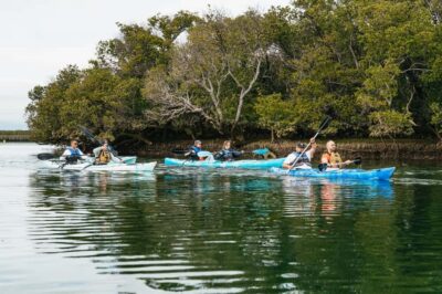 Dolphin Sanctuary Eco Kayaking Tour