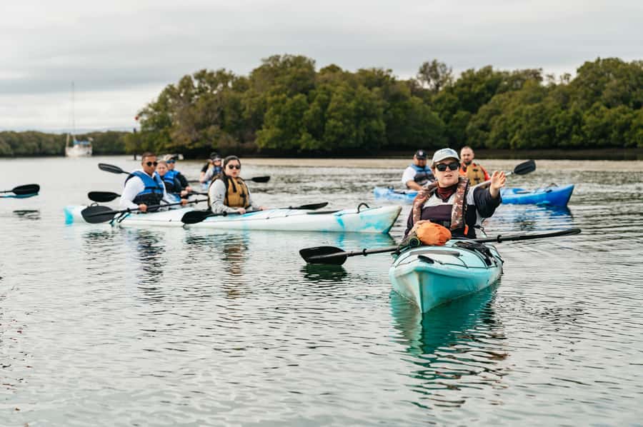 Adelaide: Dolphin Sanctuary Eco Kayaking Tour - Searching for dolphins without chasing them
