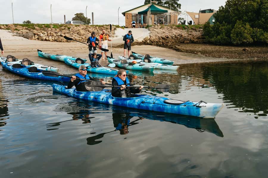 Adelaide: Dolphin Sanctuary Eco Kayaking Tour - Shipwrecks and the remains of Port Adelaide’s working past