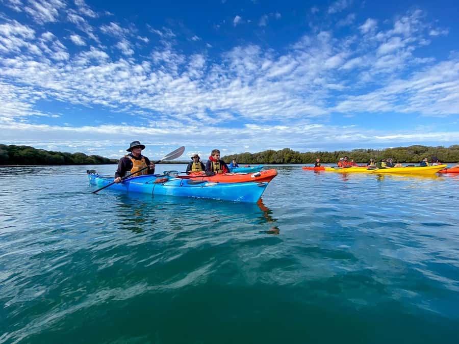Adelaide: Dolphin Sanctuary Mangroves Kayak Tour - Setting out from Garden Island