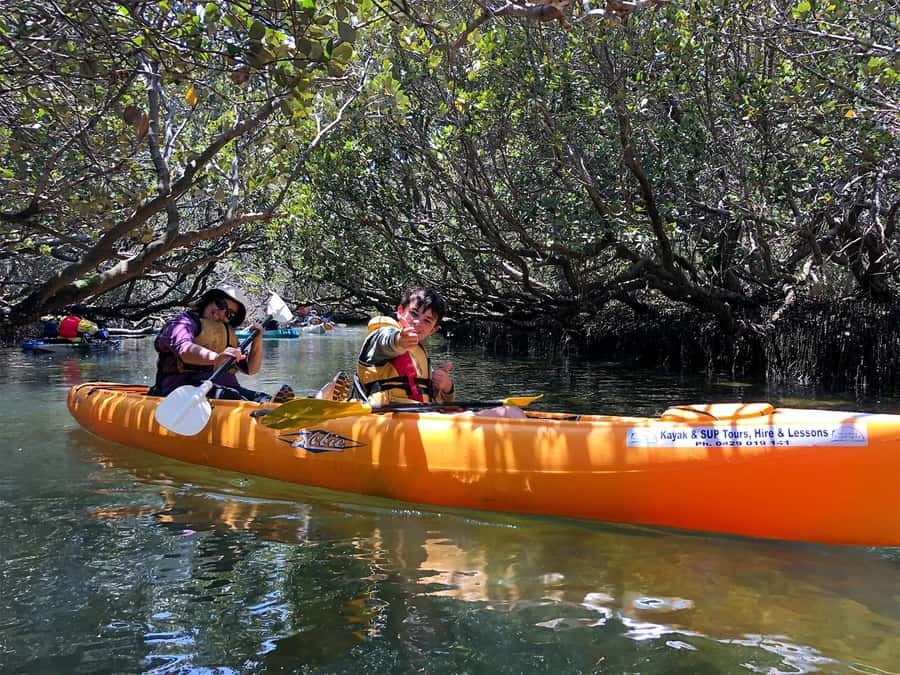 Adelaide: Dolphin Sanctuary Single or Double Kayak Rental - Paddling through Adelaide’s mangrove creeks
